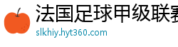 法国足球甲级联赛